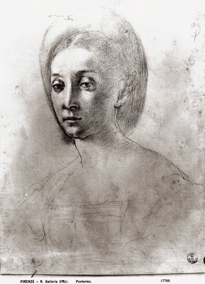 Testa di donna da Jacopo Pontormo