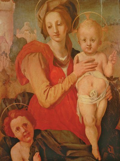 Madonna con Bambino e San Giovanni Battista infante da Jacopo Pontormo