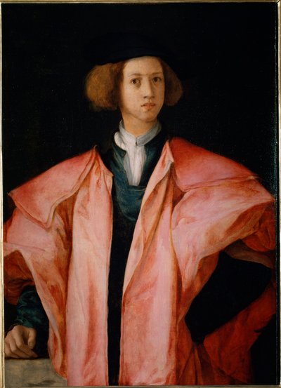 Ritratto di un giovane probabilmente Alessandro de