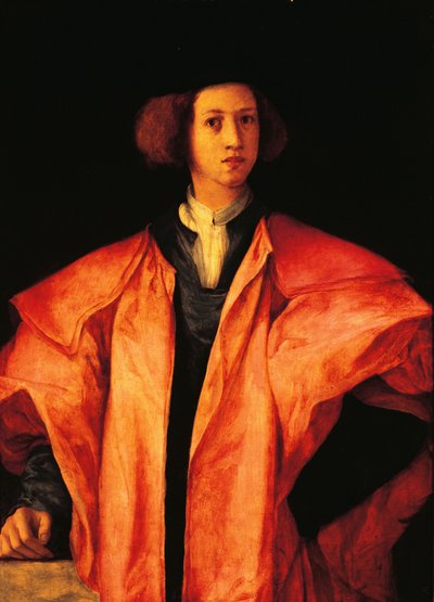 Ritratto di giovane uomo, forse Amerigo Antinori, ca 1530, di Jacopo Carucci, noto come Pontormo da Jacopo Pontormo