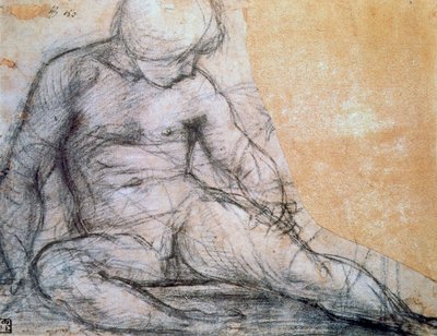 Ragazzo seduto, c1514-1557 da Jacopo Pontormo