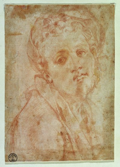 Autoritratto da Jacopo Pontormo