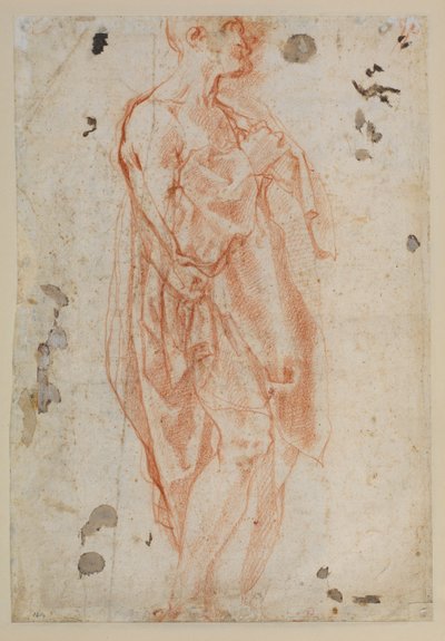 Studio per San Girolamo da Jacopo Pontormo