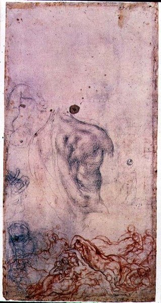 Studio per un ritratto di Cosimo I Giovinetto con altri studi di corpi contorti da Jacopo Pontormo