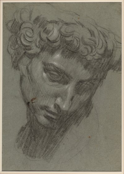 Ritratto di Giuliano de’ Medici (dopo Michelangelo) (recto) da Jacopo Robusti (workshop of) Tintoretto