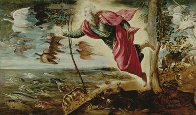 Creazione degli animali da Jacopo Robusti Tintoretto