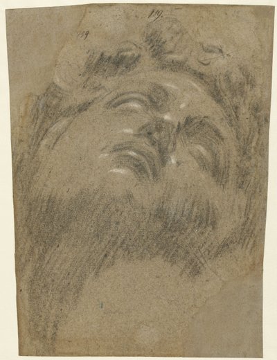 Giuliano dei Medici dopo Michelangelo, c.1550 da Jacopo Robusti Tintoretto