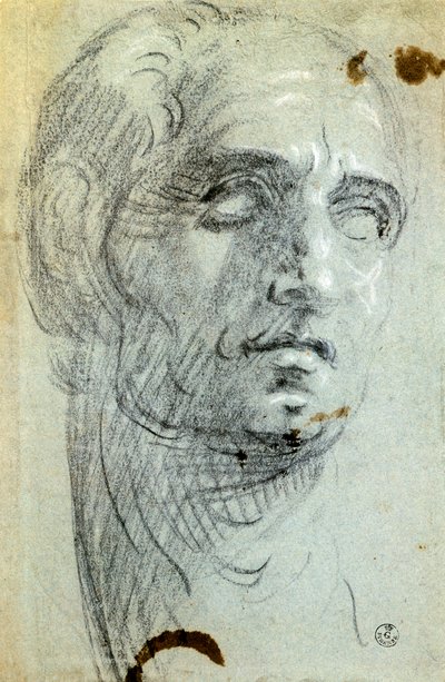 Testa maschile da Jacopo Robusti Tintoretto