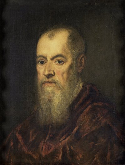 Ritratto di un uomo con un mantello rosso, 1555-80 da Jacopo Robusti Tintoretto