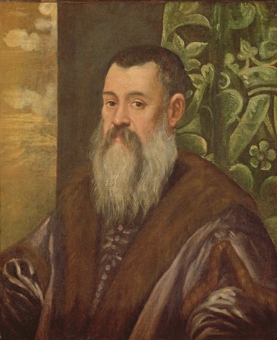 Ritratto di un senatore veneziano da Jacopo Robusti Tintoretto