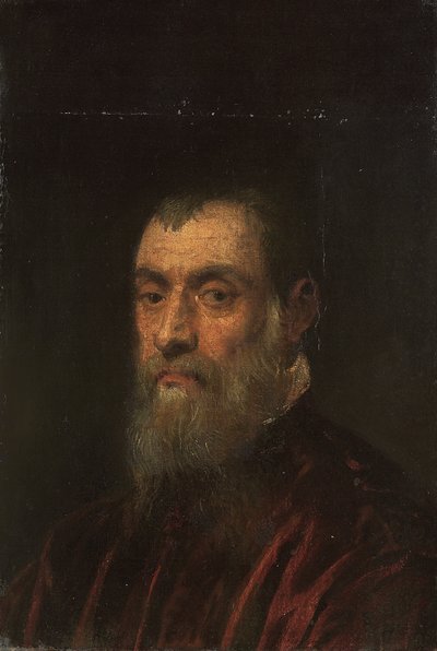 Ritratto di un uomo barbuto, busto, in una veste rossa da Jacopo Robusti Tintoretto