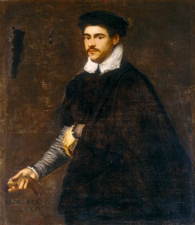 Ritratto di un giovane uomo da Jacopo Robusti Tintoretto
