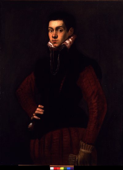 Ritratto di un giovane uomo, c.1565 da Jacopo Robusti Tintoretto