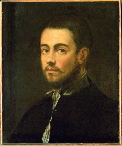 Giovane uomo con barba... (olio su tela) da Jacopo Robusti Tintoretto