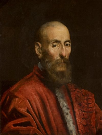Ritratto di un senatore da Jacopo Tintoretto