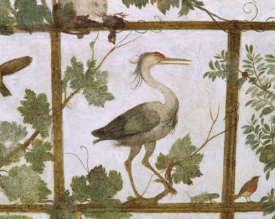 Ibis, da un affresco di un aviario nella Villa Medici, c.1576-77 da Jacopo Zucchi