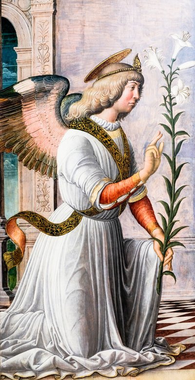 Angelo dell
