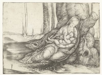 Maria con bambino al seno seduta ai piedi di un albero da Jacopo de