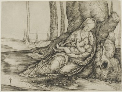 La Vergine e il Bambino reclinati contro un albero da Jacopo de