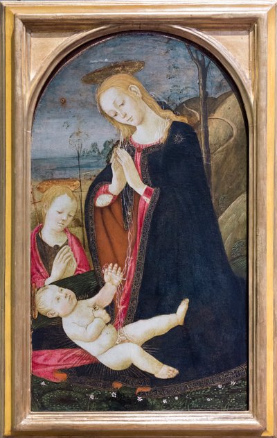 Adorazione di Cristo con il giovane san Giovanni Battista da Jacopo del Sellaio
