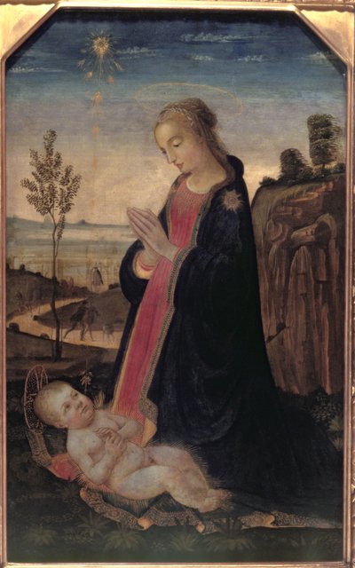 Madonna col Bambino in un paesaggio da Jacopo del Sellaio