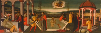 Piscina di Bethesda da Jacopo del Sellaio