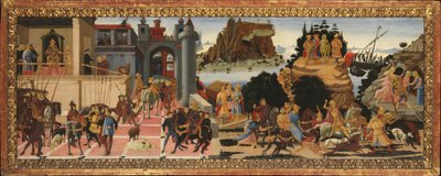 Scene dalla Storia degli Argonauti da Jacopo del Sellaio