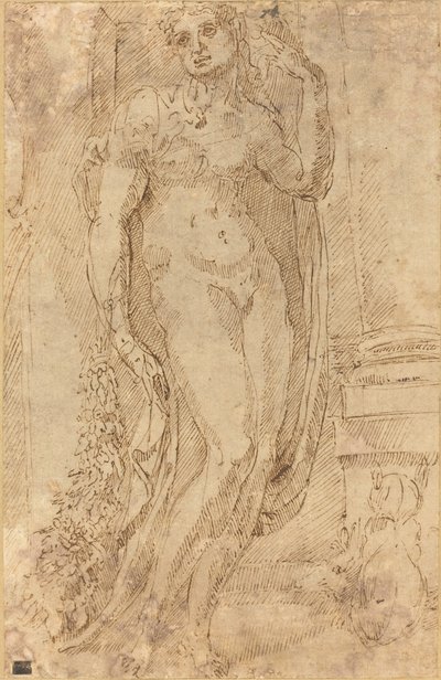 Figura allegorica con un gatto e un maiale da Jacopo di Giovanni