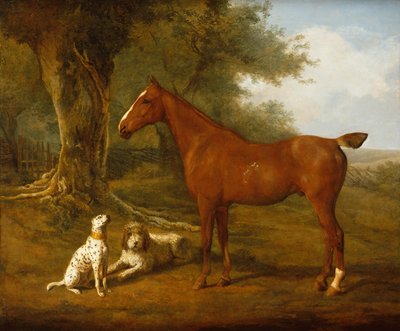 Un cacciatore di castagne con un Briard e un Dalmata da Jacques Laurent Agasse
