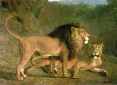 Un leone e una leonessa in una valle rocciosa da Jacques Laurent Agasse