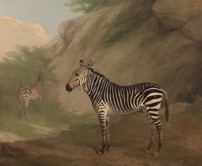 Zebra da Jacques-Laurent Agasse