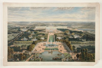 Aspetto generale di Versailles da Jacques Alphonse Testard