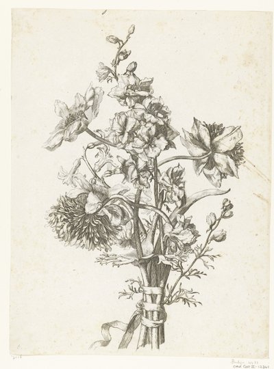 Bouquet con anemoni, un giacinto e delphinium da Jacques Bailly (I)