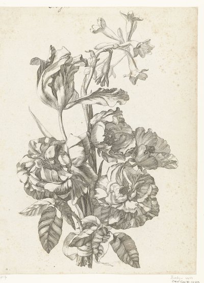 Bouquet con peonie, un tulipano e una brodiaea da Jacques Bailly (I)
