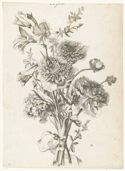 Bouquet di anemoni da Jacques Bailly (I)