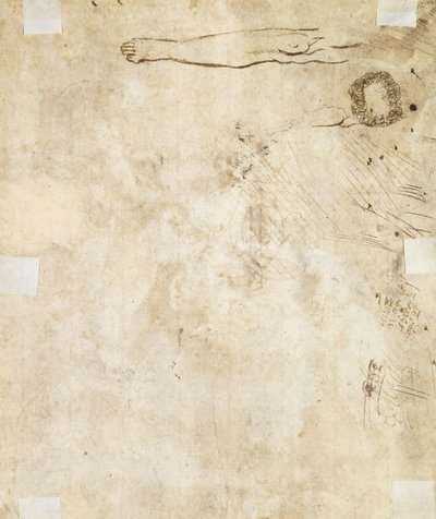 Studio di una gamba, arabesco e scarabocchi, 1610-17 da Jacques Bellange