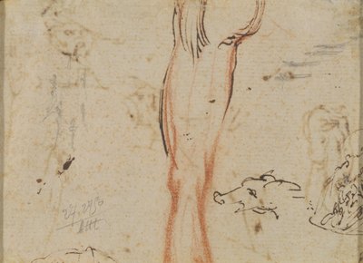Una gamba e una testa di maiale da Jacques Callot