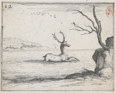Un cervo nell