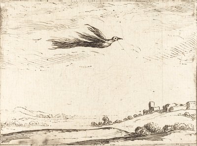 Uccello del paradiso da Jacques Callot