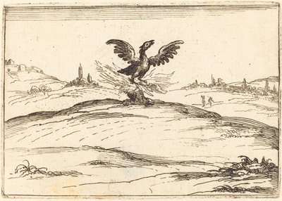 Fenice ardente da Jacques Callot