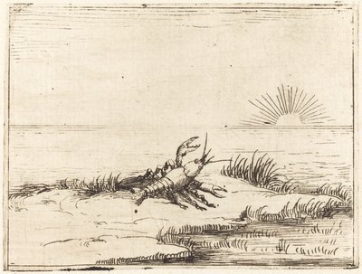 Gambero che guarda il sole da Jacques Callot