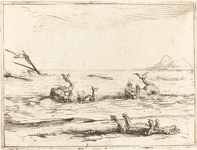 Delfini e coccodrillo da Jacques Callot