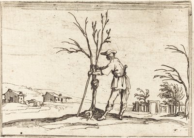 Giardiniere che Potatura un Albero da Jacques Callot