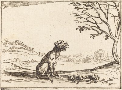 Leonessa che Piange il suo Cucciolo da Jacques Callot