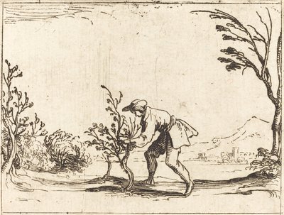 Uomo che taglia un albero di balsamo da Jacques Callot