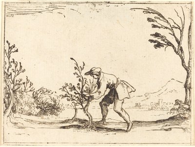 Uomo che taglia un albero di balsamo da Jacques Callot