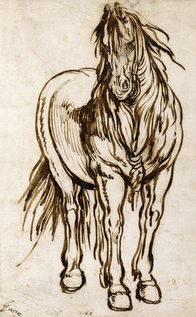 Studio di un Cavallo da Jacques Callot