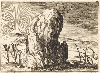 I tulipani e il sole da Jacques Callot