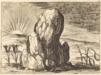 I Tulipani e il Sole da Jacques Callot
