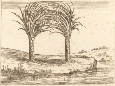 Due palme da Jacques Callot